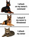 .attack.jpeg