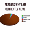 1791070546900.png