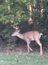 IMG_0674.jpeg