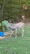 IMG_1540.jpeg