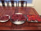 IMG_2332.jpeg IMG_2332.jpeg