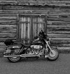 IMG_0093 copy.jpg