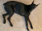 IMG_0220.jpeg
