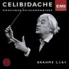 Sergiu Celibidache - Münchner Philharmoniker – Brahms 2, 3, & 4.jpg