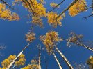 IMG_7103.jpeg