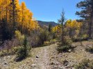 IMG_7131.jpeg