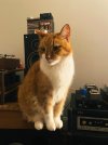 IMG_2615.jpeg