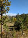 PXL_20261007_172527250.jpg