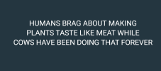 COWS.png