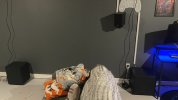 IMG_8470.jpg
