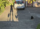 IMG_3838.jpeg IMG_3838.jpeg