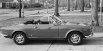 fiat 124.jpg