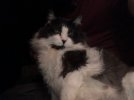IMG_0372.jpeg