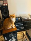 IMG_2767.jpeg