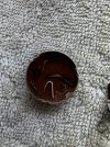 932d2733-1c16-4350-b5f2-176e3c8bd2f5.jpg