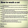 cat instrux.jpg