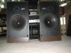 Avan 2AX speakers a1 grills off.jpg