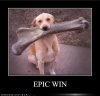 epic-win.jpg