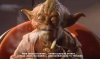 Yoda -.JPG