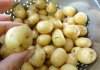 small-potatoes.jpg