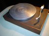 DSC02564.jpg