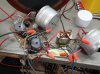 DSC01195.jpg
