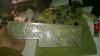 WP_20140628_003.jpg