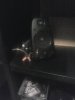 CAM01508.jpg