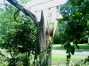 IMG_20140908_124300_132.jpg