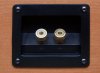 center channel binding posts.jpg