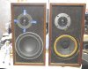 Tang Band Pair.jpg