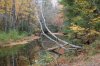 DSC_0148.jpg