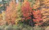 DSC_0157.jpg