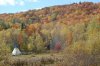 DSC_0226.jpg