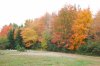 DSC_0298.jpg