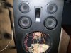 100_0781.jpg
