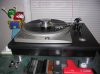 DSCN0583.jpg
