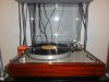 DSC02364.jpg