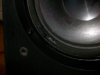 woofer 1.jpg