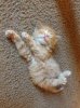 Awwwww.jpg