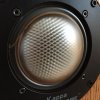 Kappa8.2_Polydome 303 treatment3.jpg