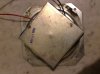 KLH_5_tweet_back.JPG