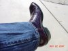 DSC00114.JPG