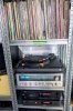 DSC05814.jpg