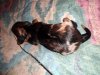 DSC02633.JPG