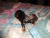 DSC02631.JPG