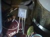 C983.jpg
