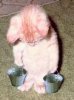cat.jpg