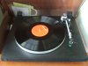 DSCF3813.JPG