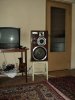 DSC06890.jpg